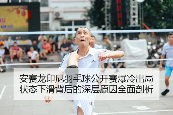 an-sai-long-yin-ni-yu-mao-qiu-gong-kai-sai-bao-leng-chu-ju-zhuang-tai-xia-hua-bei-hou-de-shen-ceng-yuan-yin-quan-mian-2-360.jpg