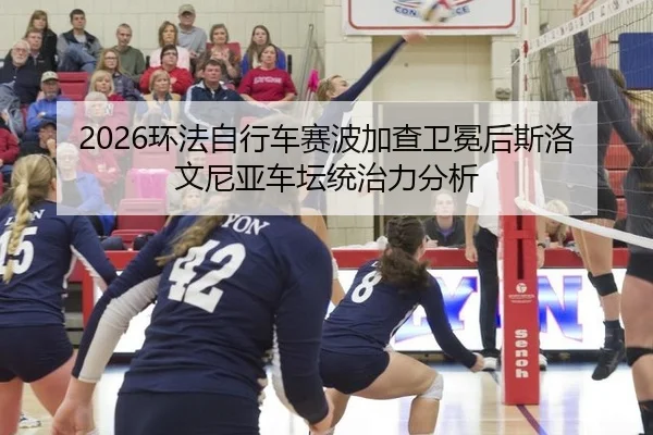 huan-fa-zi-xing-che-sai-bo-jia-cha-wei-mian-hou-si-luo-wen-ni-ya-che-tan-tong-zhi-li-fen-xi-2-201.jpg